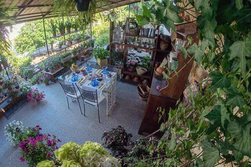 I Leoni Di Sicilia Palermo Villa Ngoại thất bức ảnh