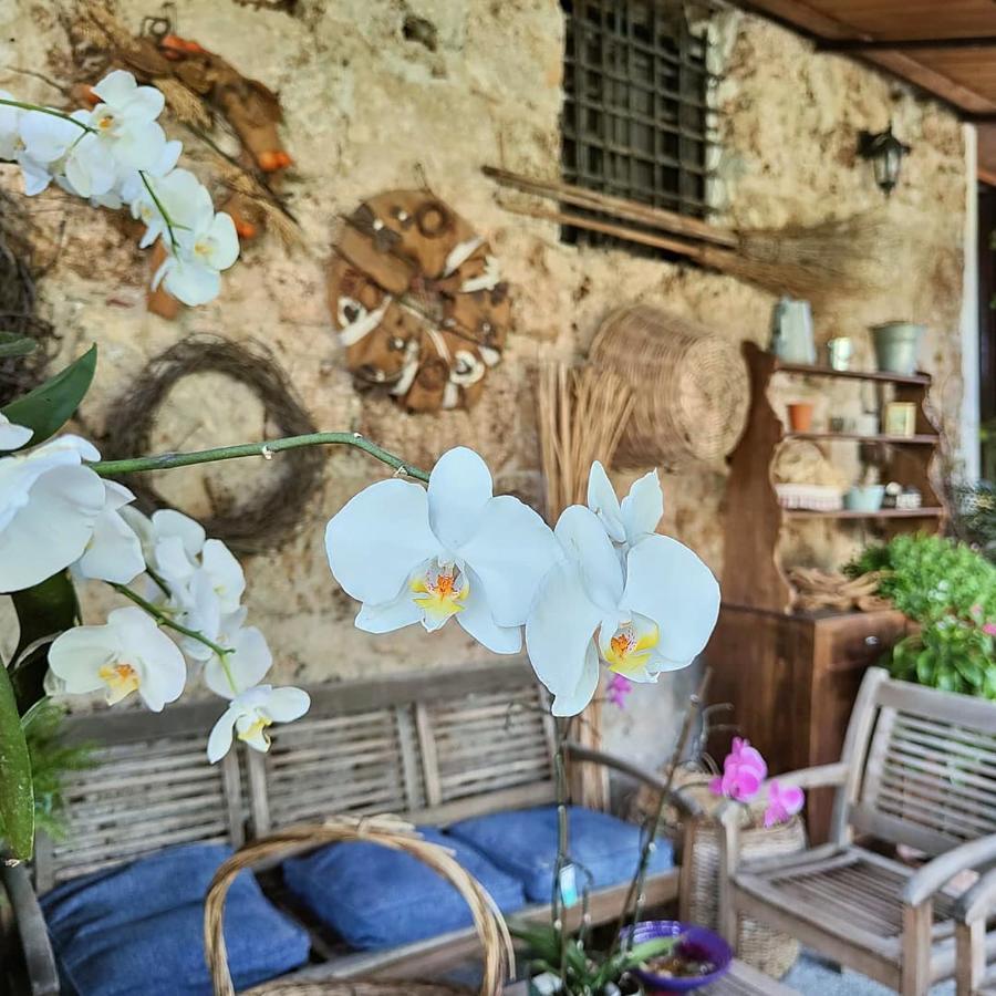 I Leoni Di Sicilia Palermo Villa Ngoại thất bức ảnh